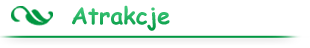 Atrakcje w osrodku Bogdanka